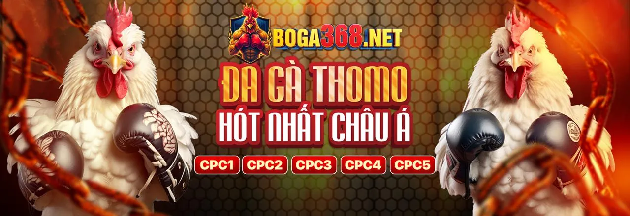win8bet nhà cái – Nền tảng giải trí trực tuyến hàng đầu Việt Nam